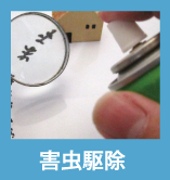 害虫駆除