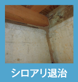 シロアリ退治